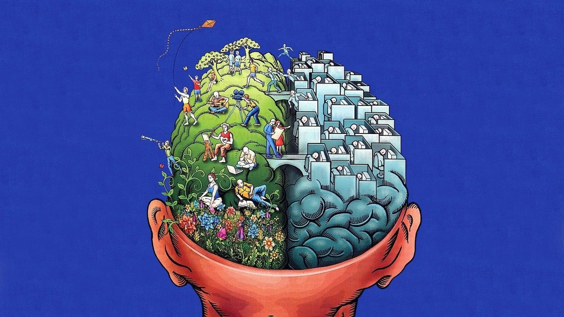 Места ума. Функциональная межполушарная асимметрия мозга. Воображение мозг. Мозг мышление.