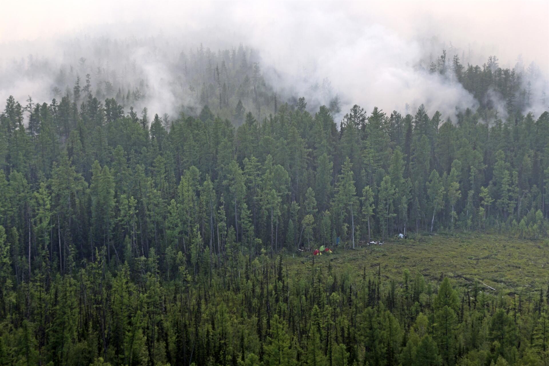 Orman Suçlarına Ait Davalar Mahkemelerce Acele Mevaddan Sayılır